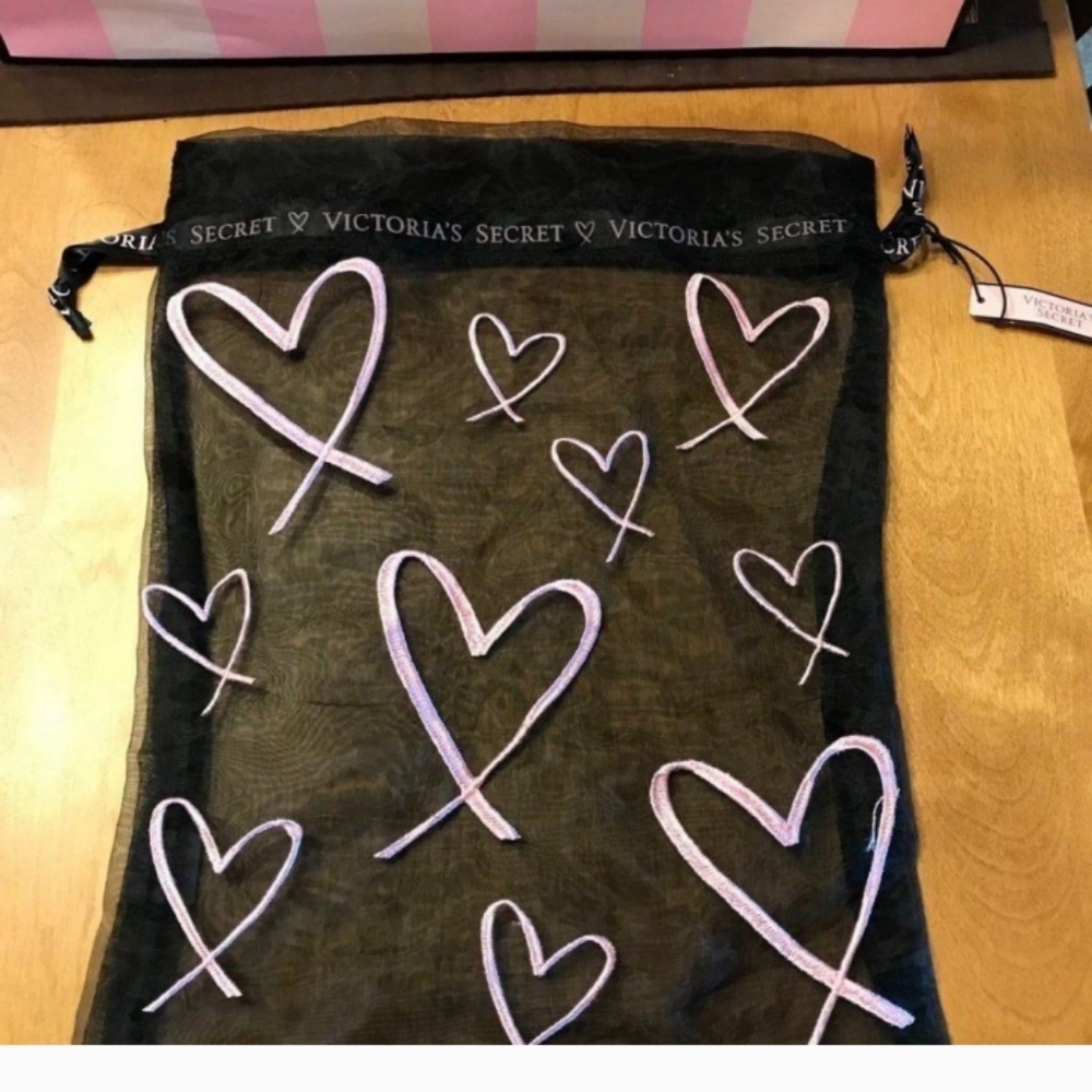 Victoria's secret mesh travel lingerie bag